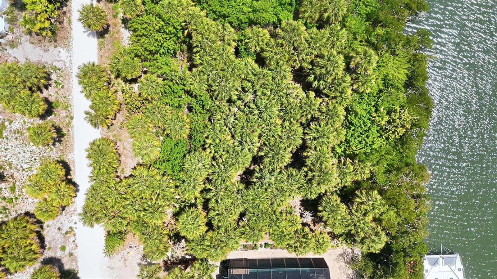 Image 21 of 29 For 70 Palm Drive