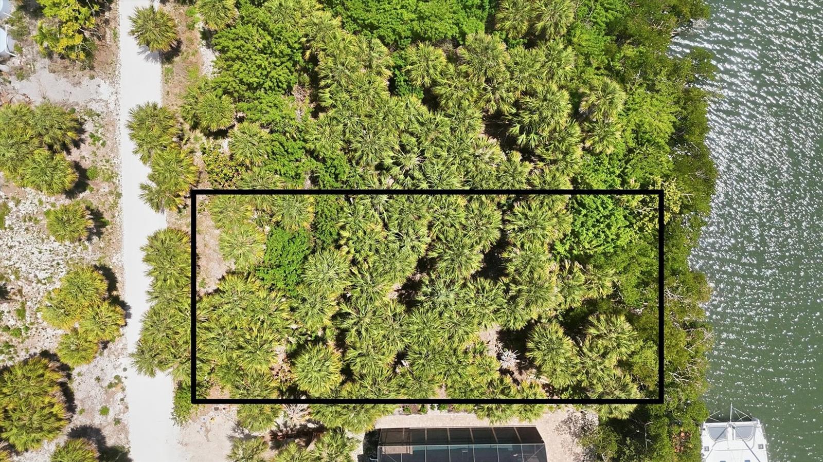 Image 6 of 29 For 70 Palm Drive