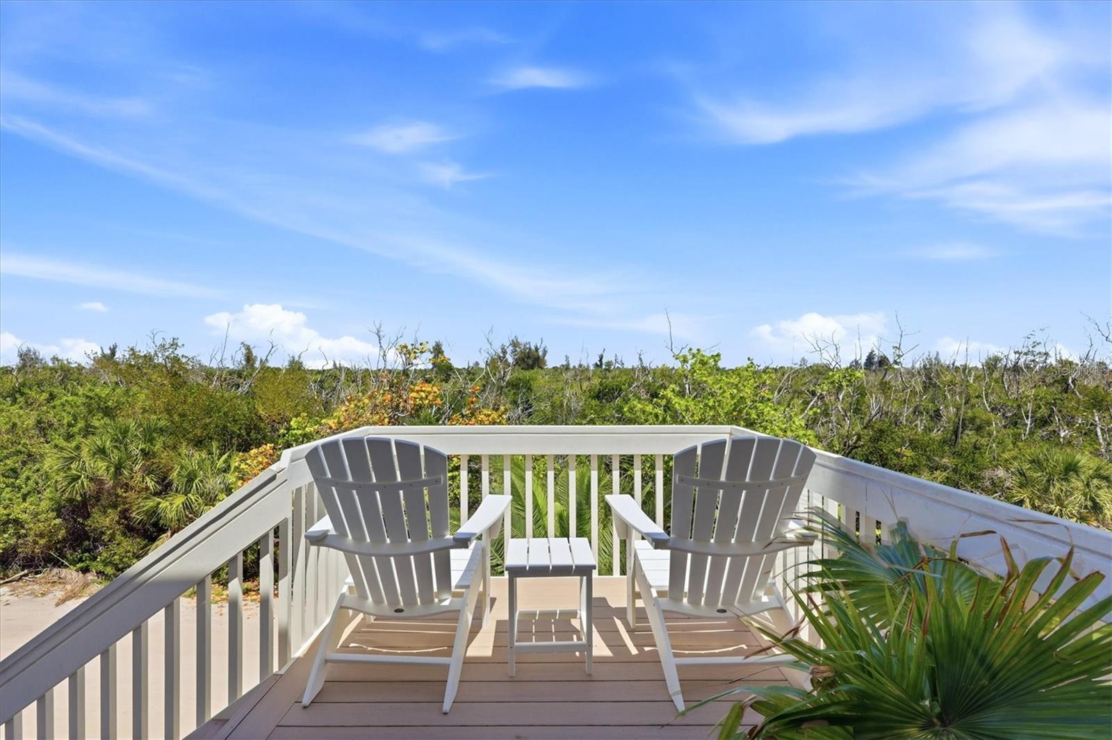 Image 49 of 76 For 6950 Palm Island Drive