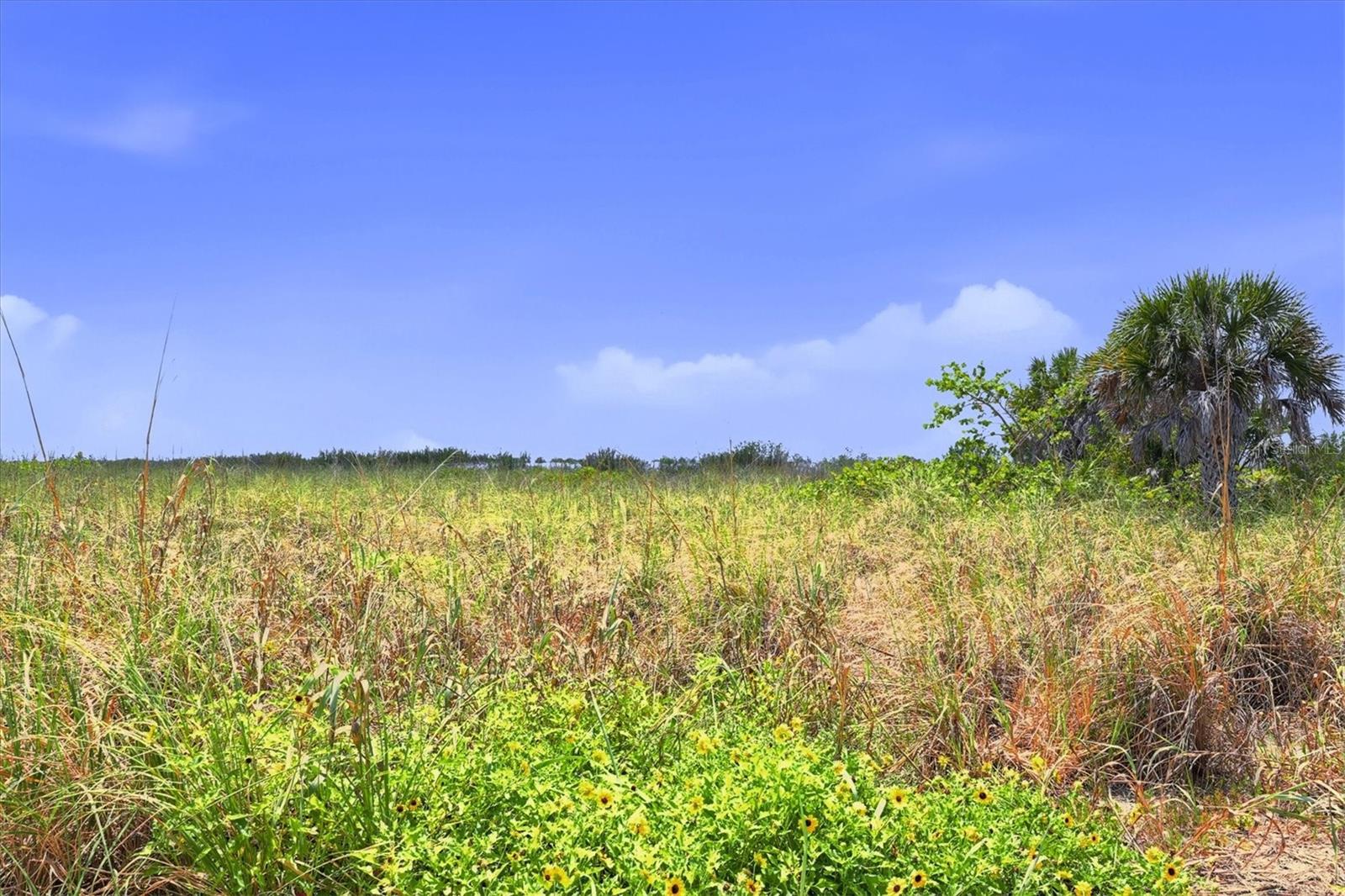 Image 56 of 76 For 6950 Palm Island Drive