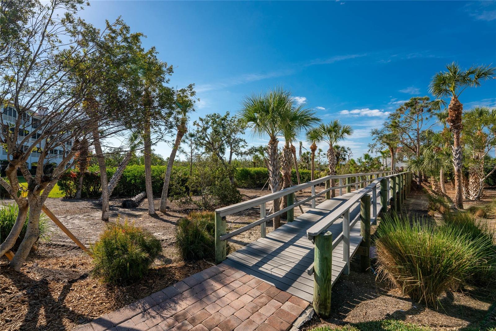 Image 71 of 83 For 11100 Hacienda Del Mar Boulevard G202 - Ren