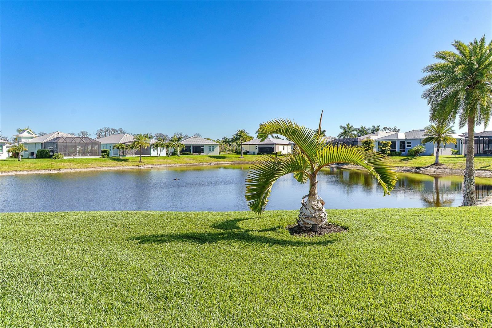 Image 23 of 57 For 8776 Conch Avenue