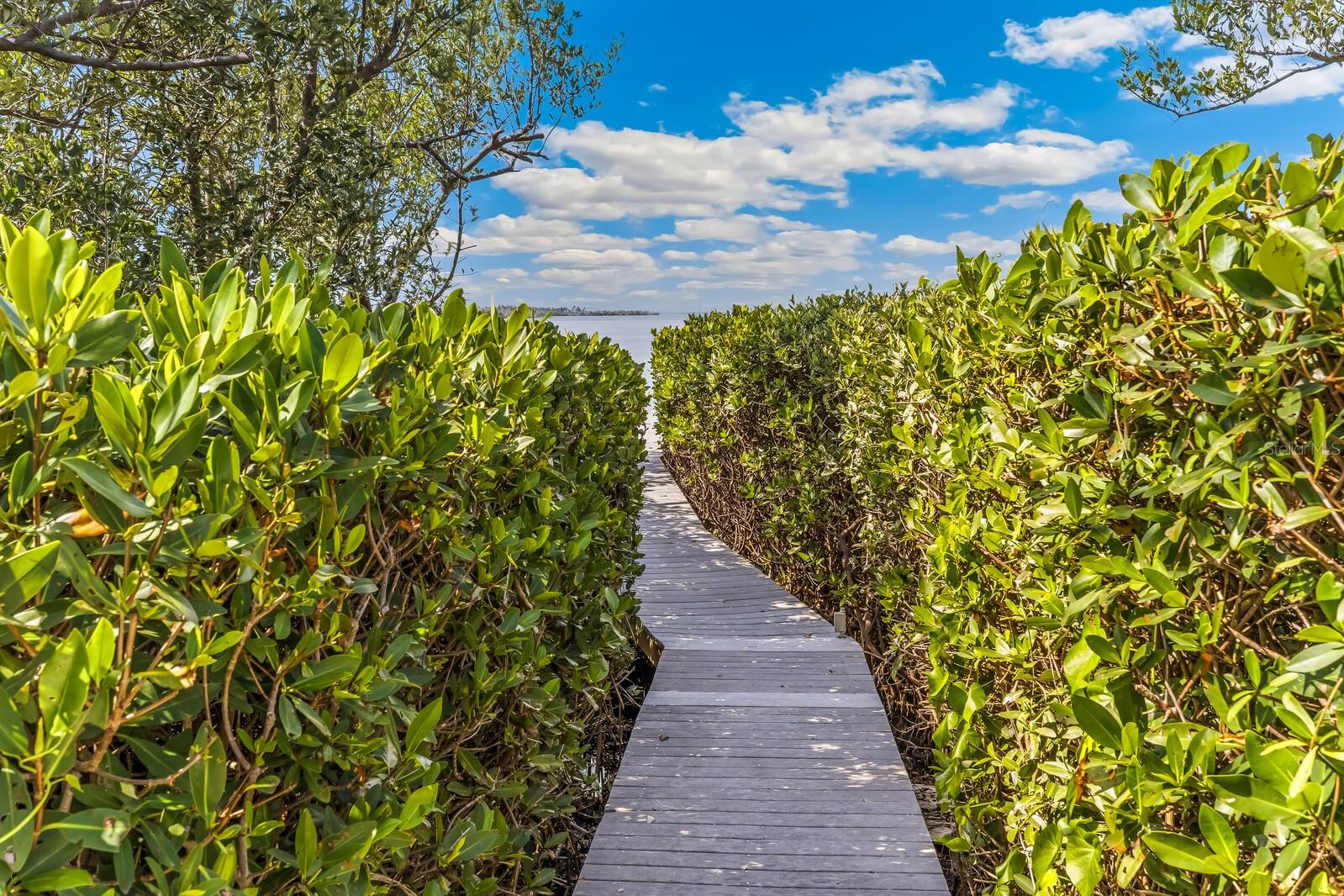 Image 31 of 58 For 1669 Jose Gaspar Drive