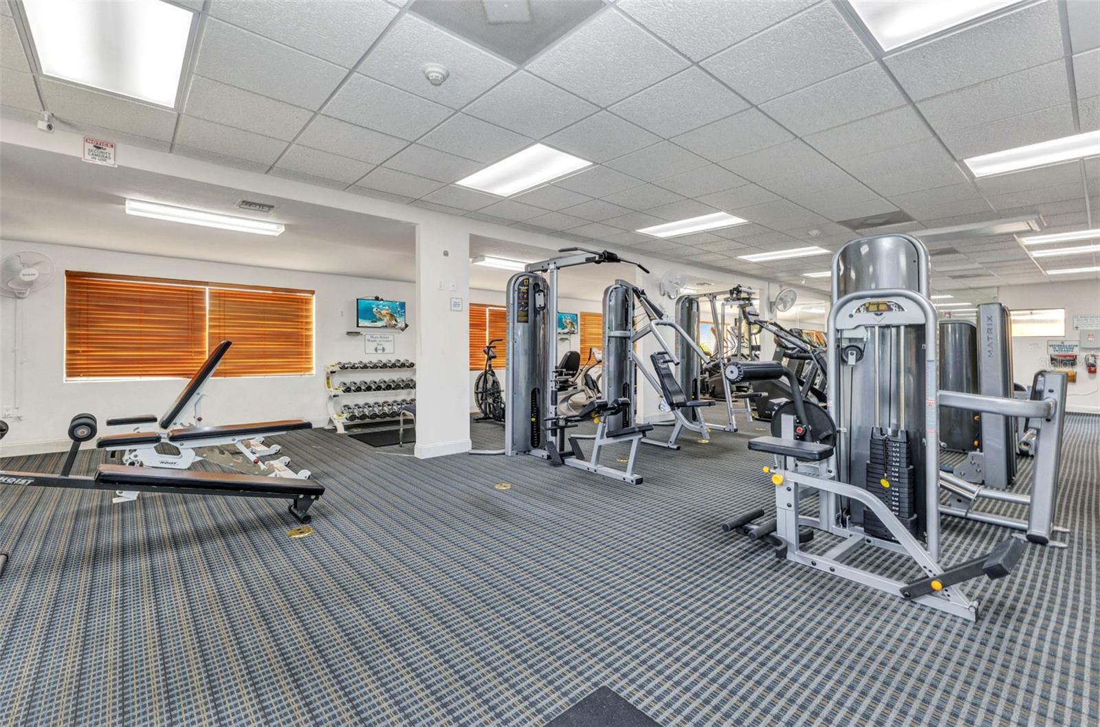 Image 50 of 66 For 2100 Kings Hwy  1098