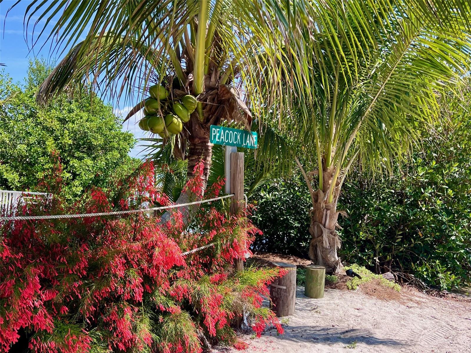 Image 42 of 60 For 8302 Little Gasparilla Island
