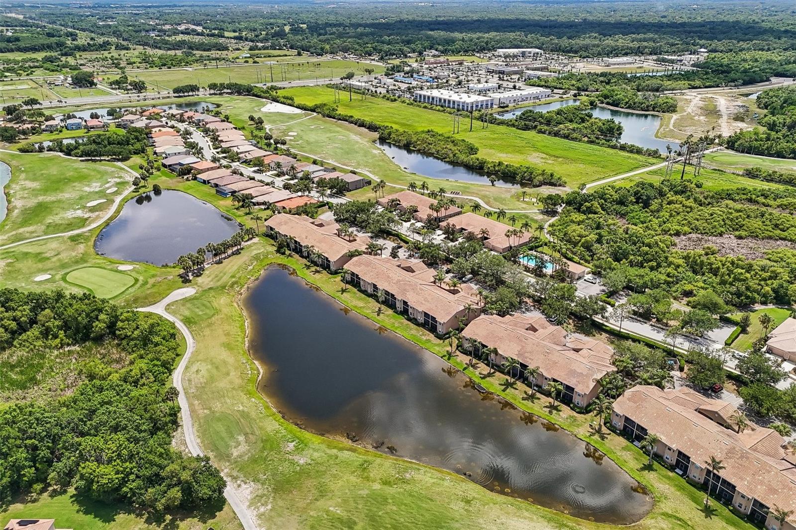 Image 40 of 61 For 1003 Fairwaycove Lane 201