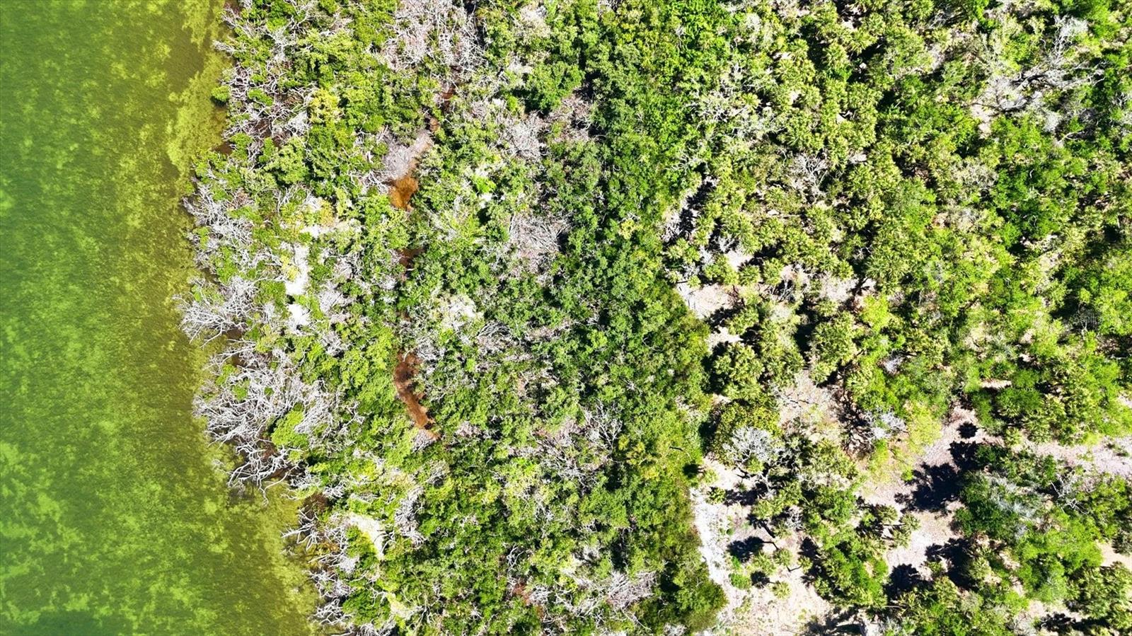 Image 18 of 19 For 0 Manasota Key Road