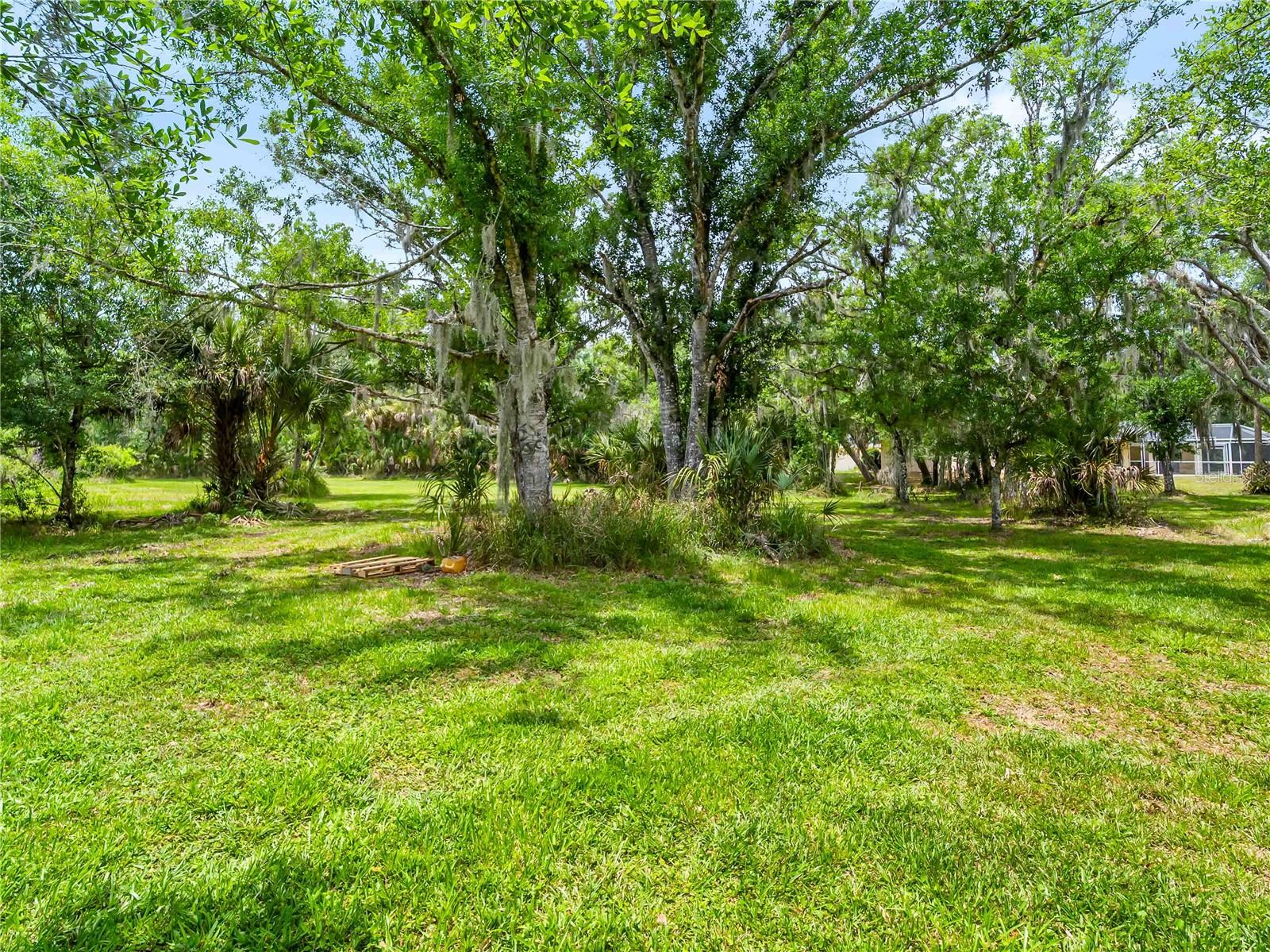 Image 9 of 70 For 13505 Wild Citrus Road