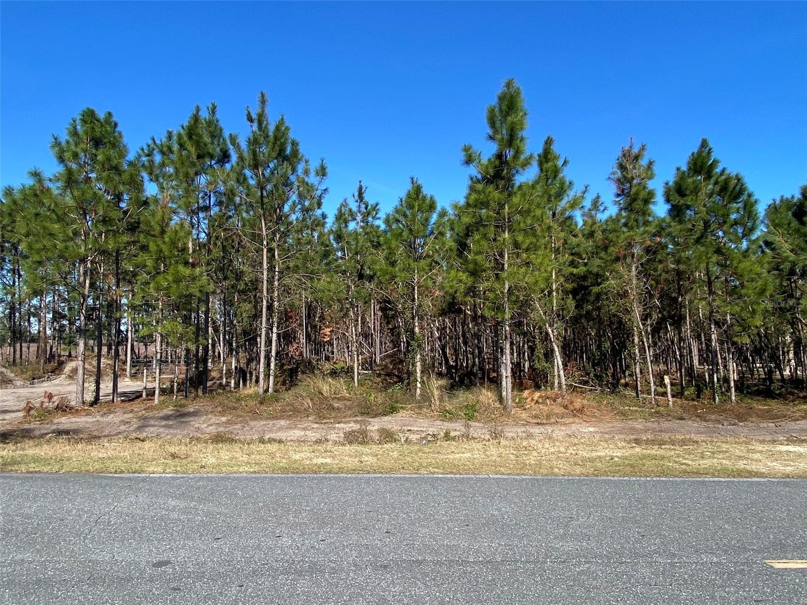 Details for 2988 Cr 534  , MAYO, FL 32066
