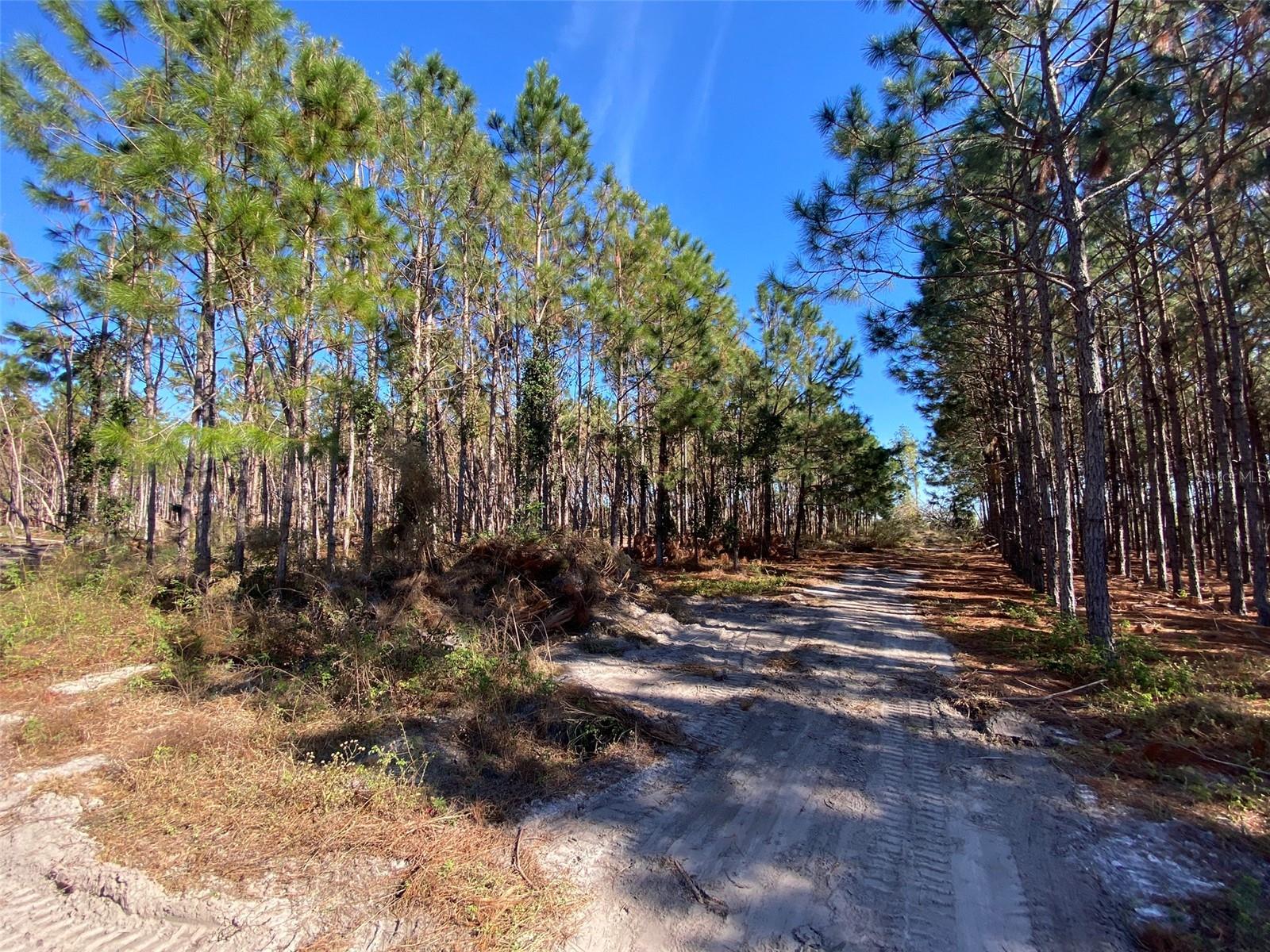 Image 4 of 8 For 2988 Cr 534  