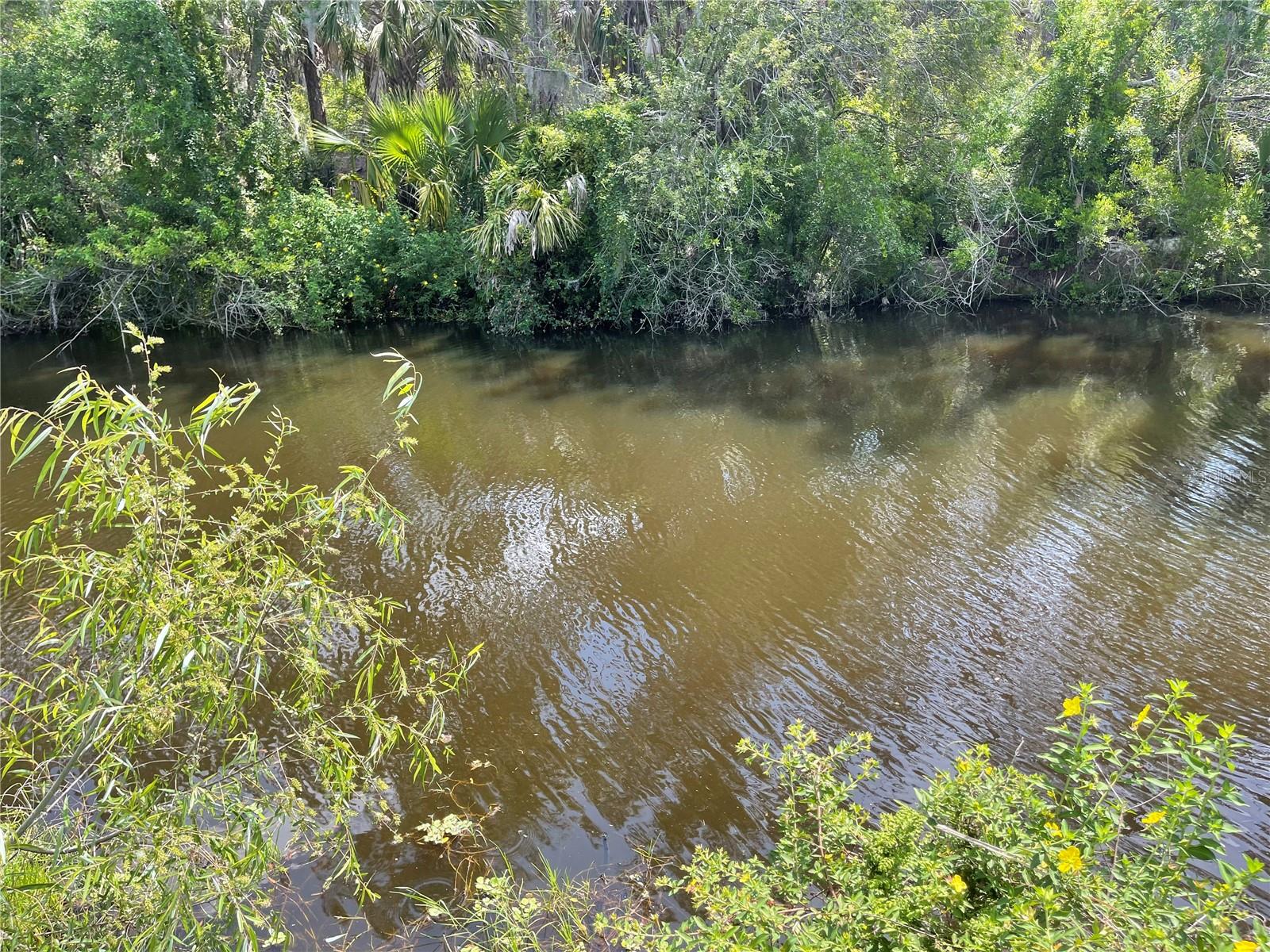 Image 3 of 8 For Port Charlotte Sub 17 Rep Shrimp Lane