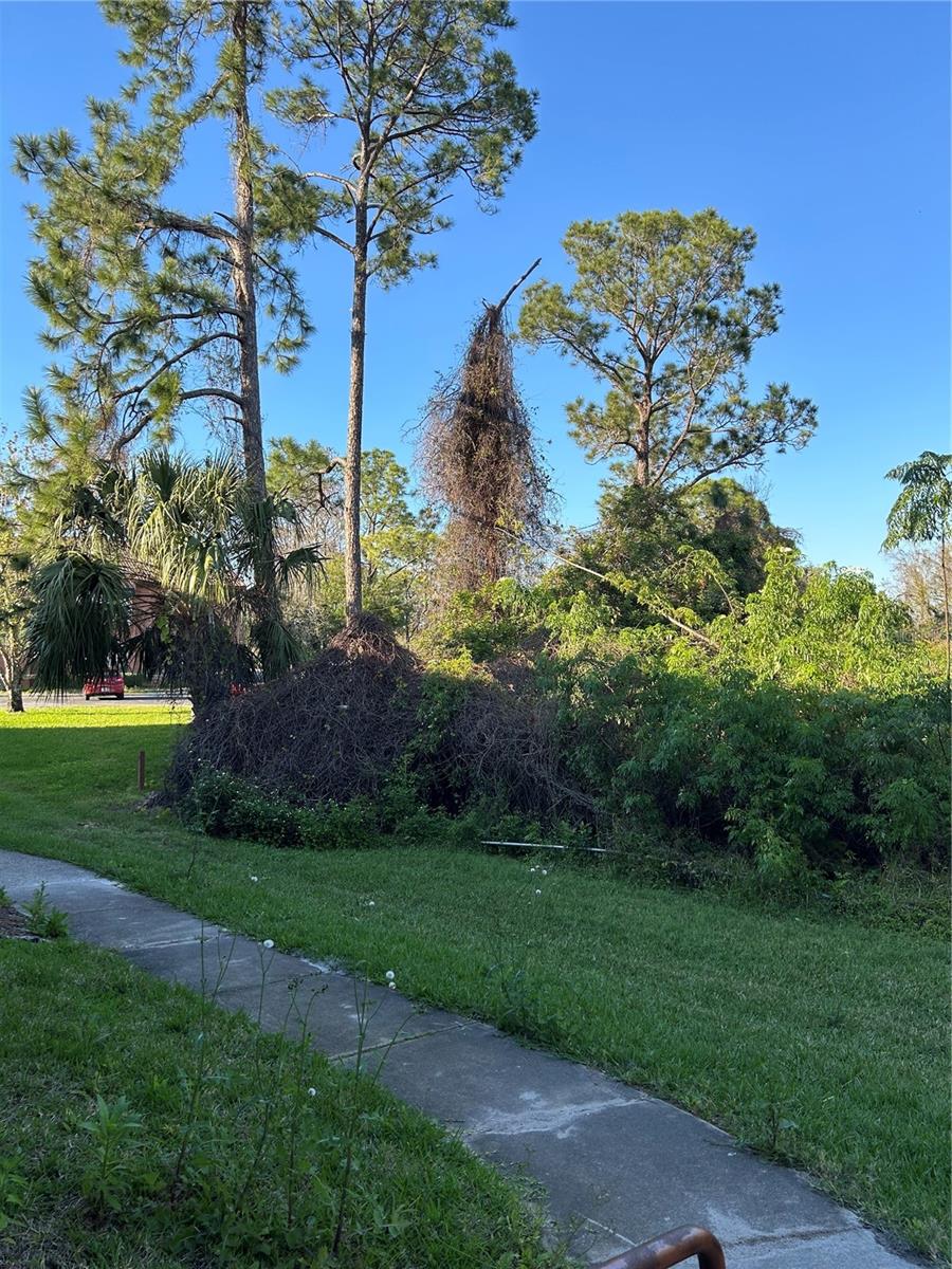 Image 14 of 21 For 5112 Conroy Road 17