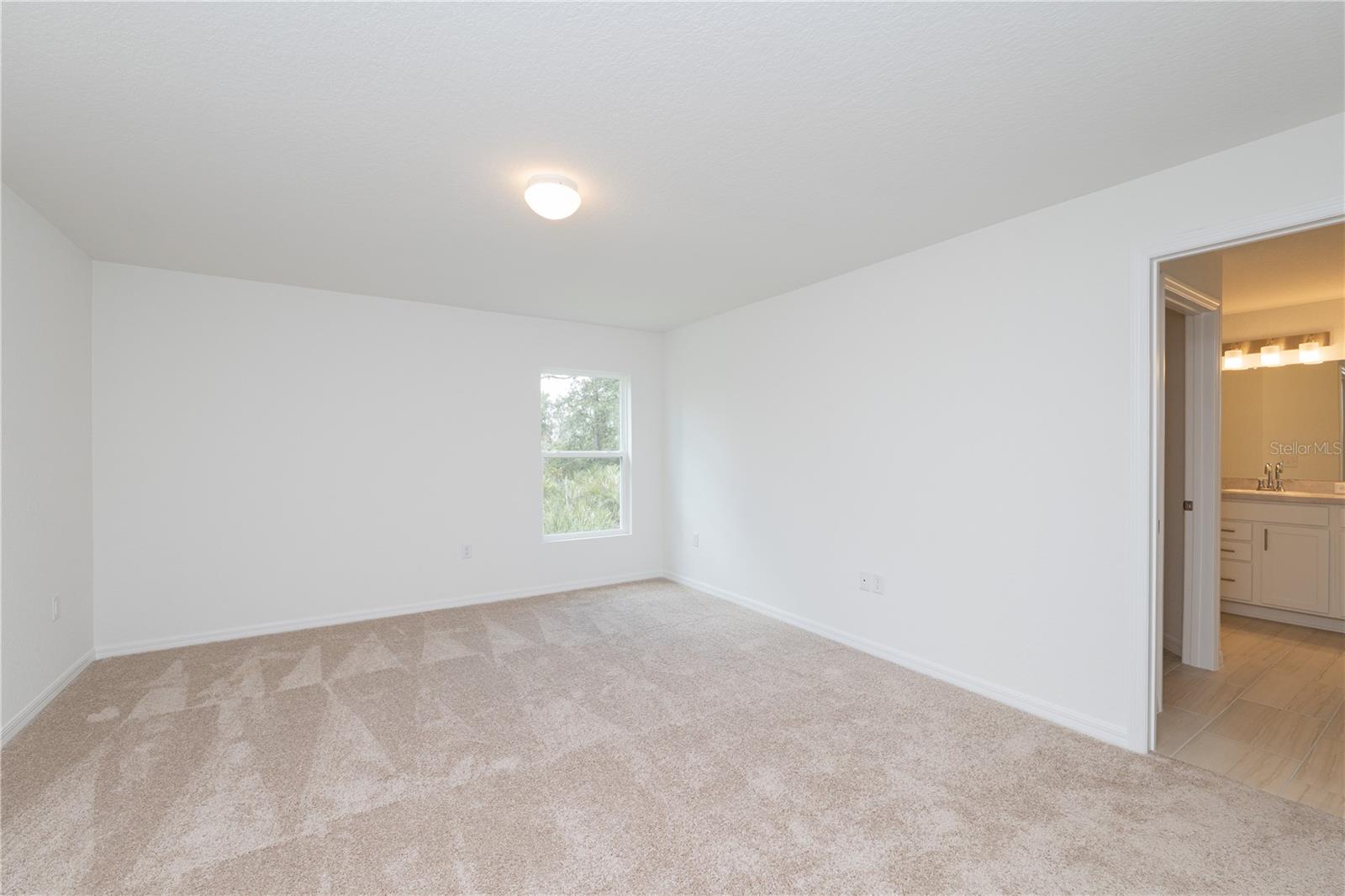 Image 11 of 23 For 4447 Mindello Street