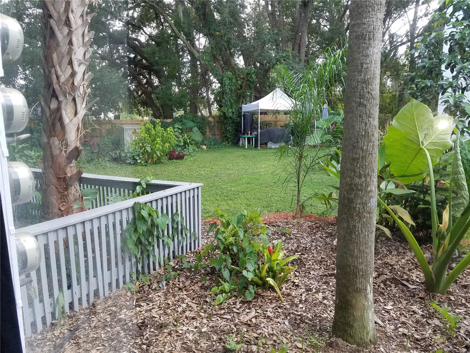Image 12 of 13 For 2408 Lemon Tree Lane C