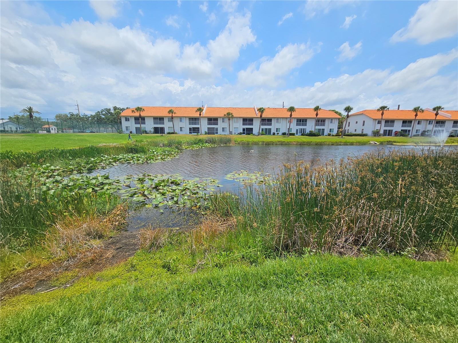 Image 11 of 23 For 4364 Madeira Court 3355