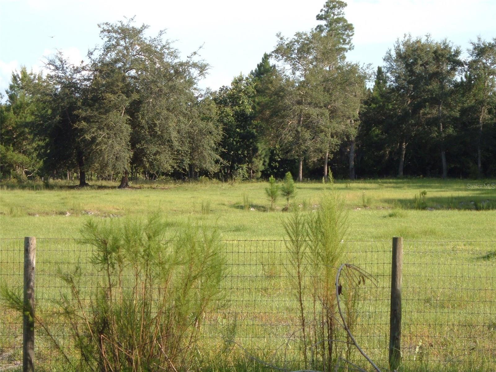 Image 3 of 15 For 900 Buckles Road