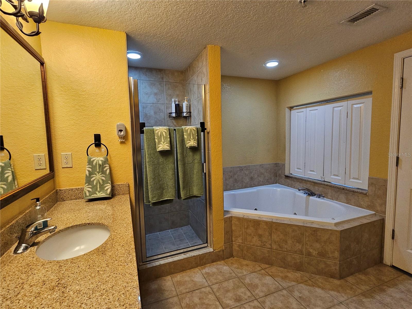 Image 21 of 32 For 12527 Floridays Resort Drive 406-e