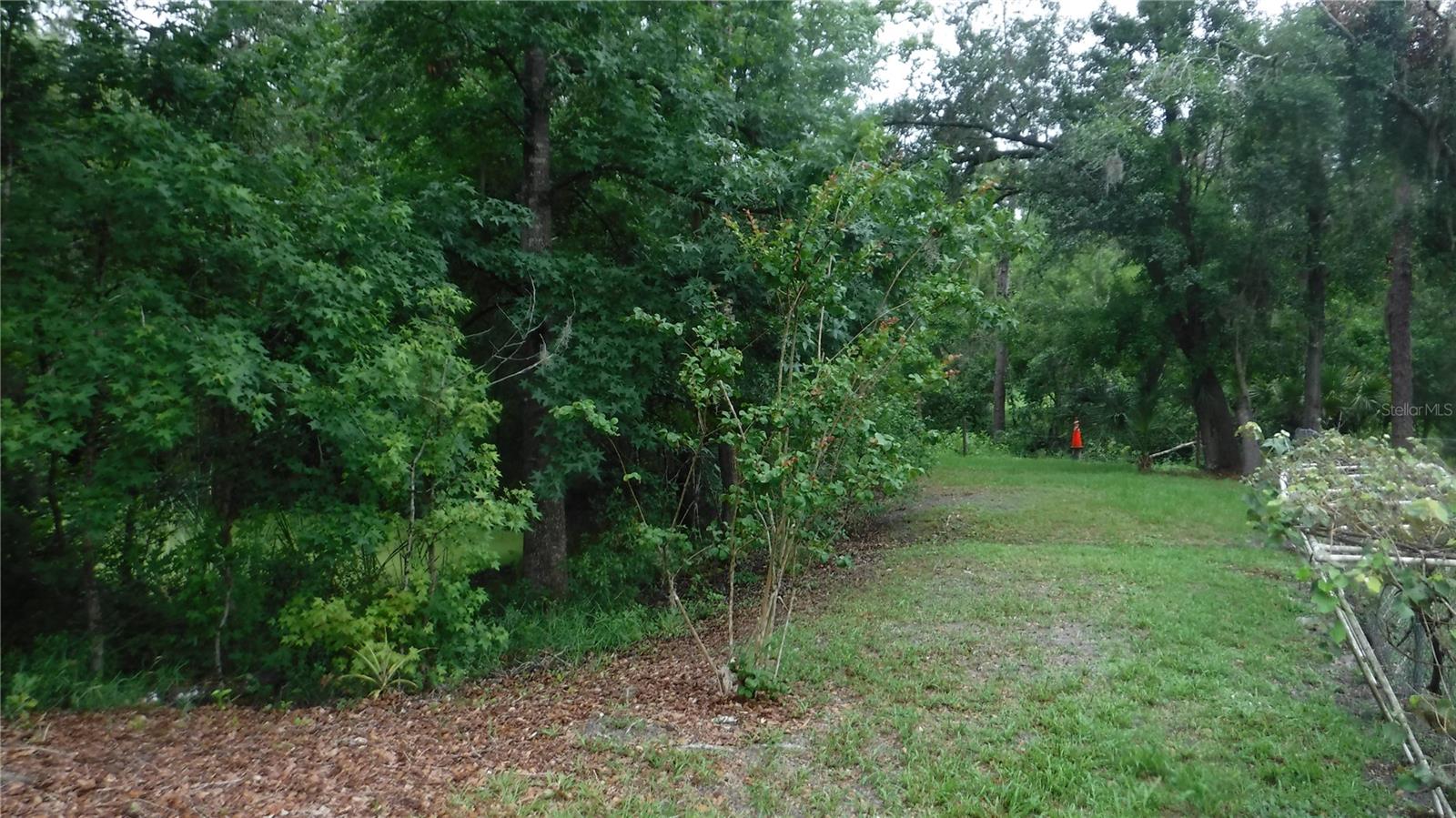 Image 19 of 19 For 2913 Deerbrook Drive