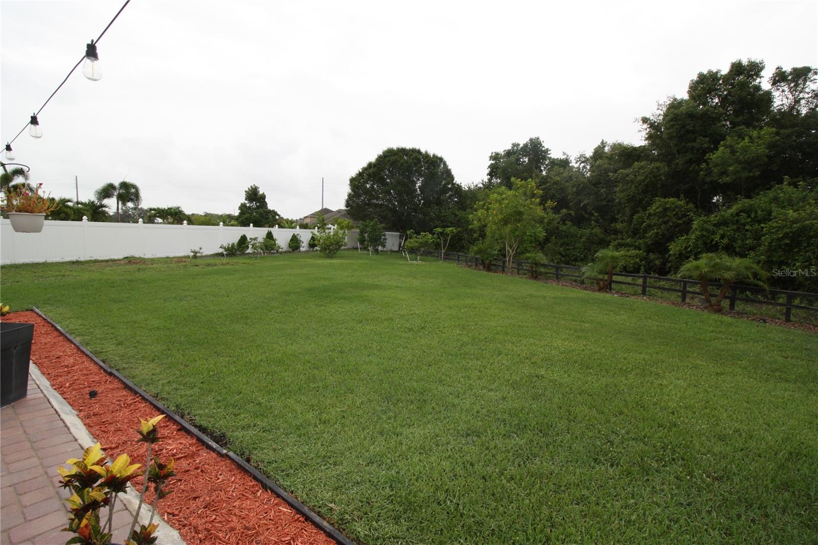 Image 42 of 44 For 1813 Hawksbill Lane