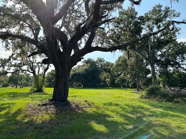 Image 4 of 4 For Aloma Avenue