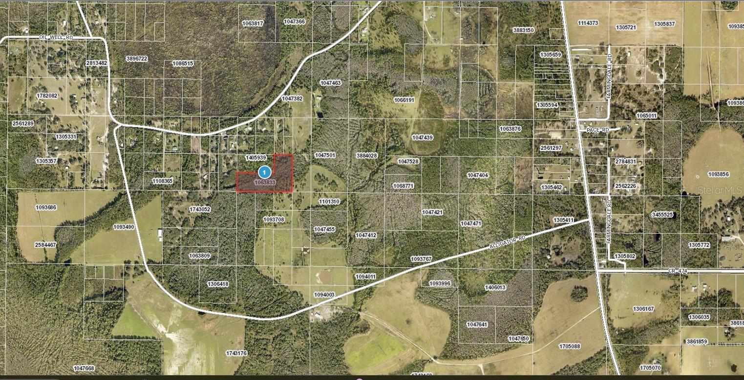 Details for Oil Well Road, CLERMONT, FL 34714