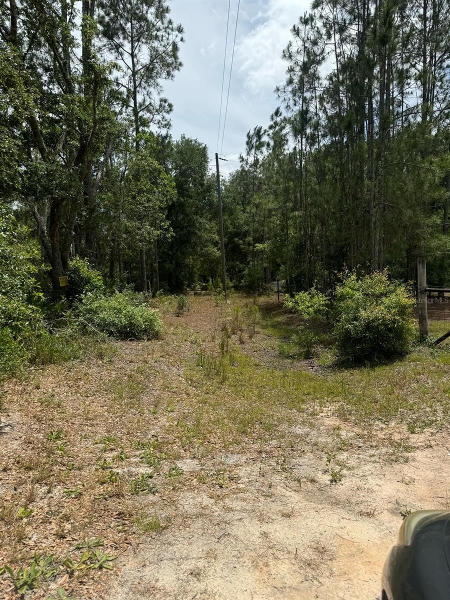 Image 3 of 8 For Oil Well Road