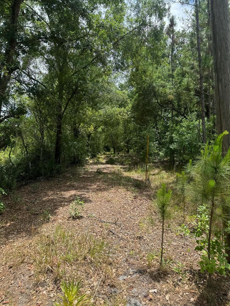 Image 4 of 8 For Oil Well Road
