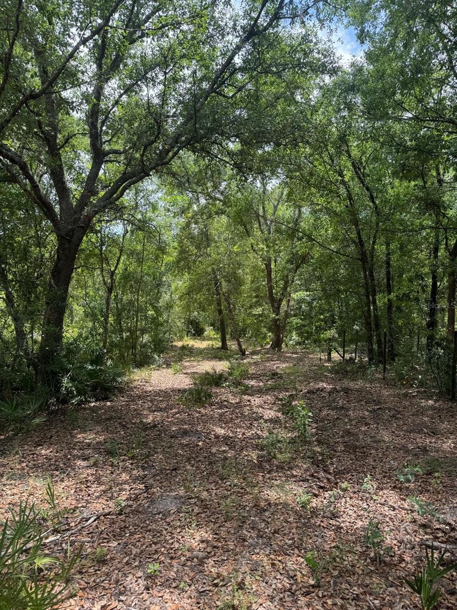 Image 5 of 8 For Oil Well Road