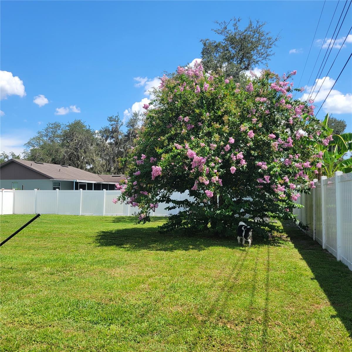Image 17 of 18 For 2514 Timbercreek Loop E