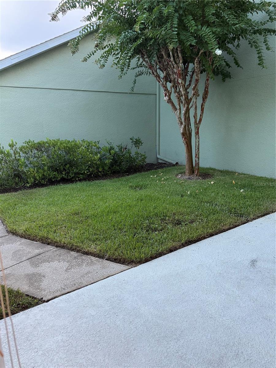 Image 45 of 45 For 3879 Cleary Way