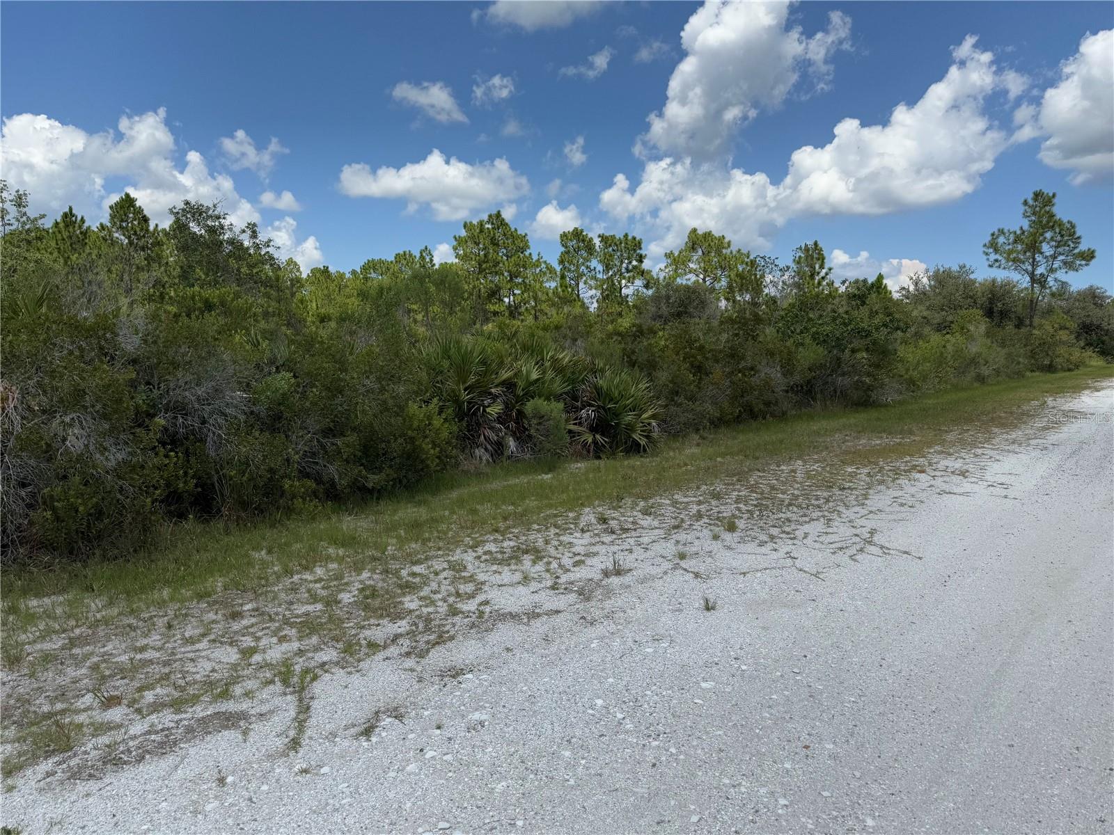 Image 11 of 11 For Sarasota Drive 11