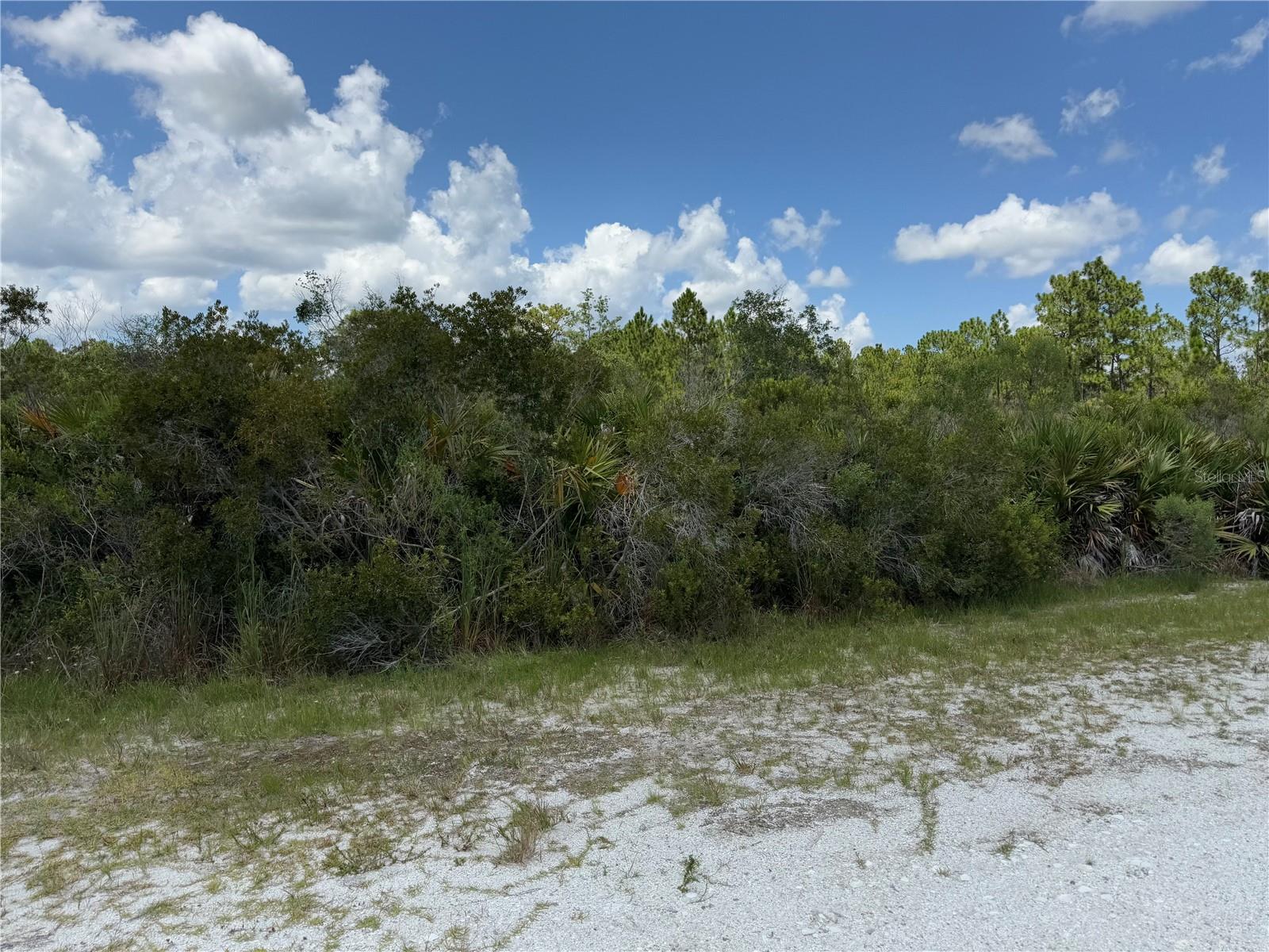 Image 2 of 11 For Sarasota Drive 11