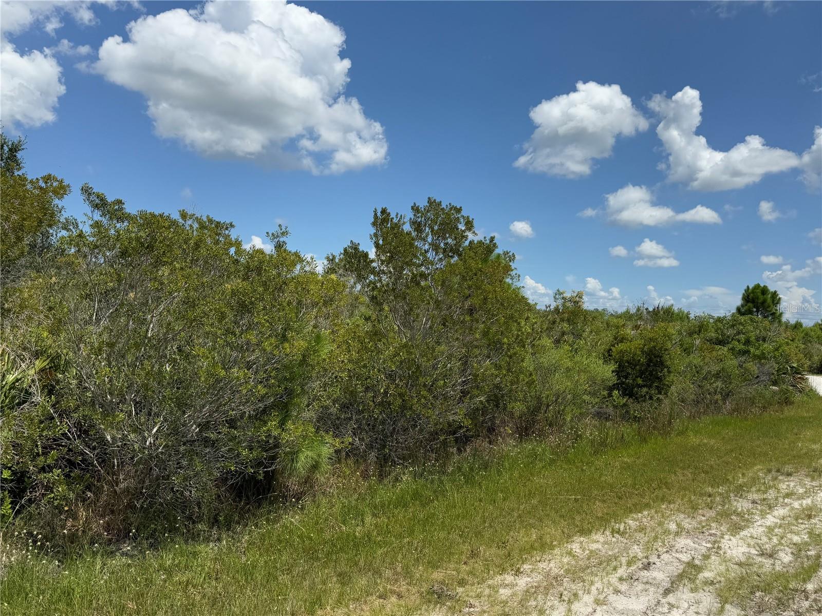 Image 3 of 11 For Sarasota Drive 11