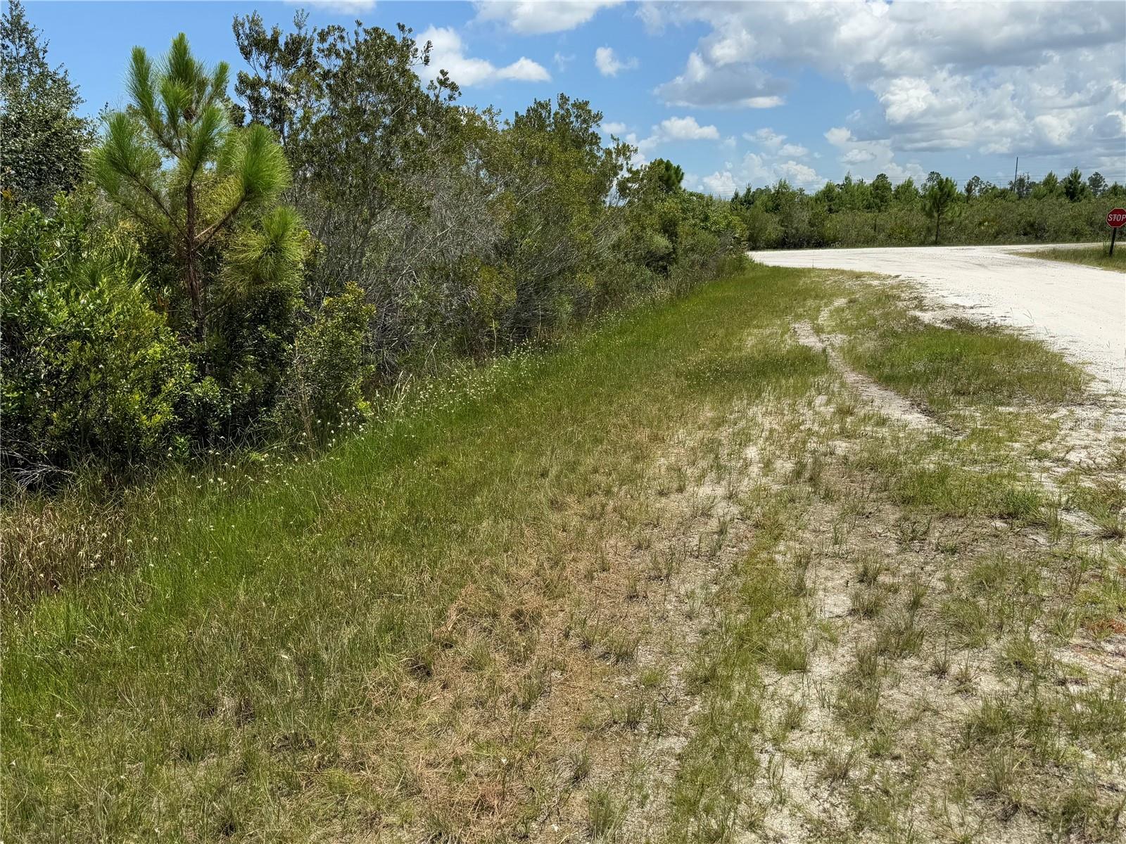 Image 5 of 11 For Sarasota Drive 11