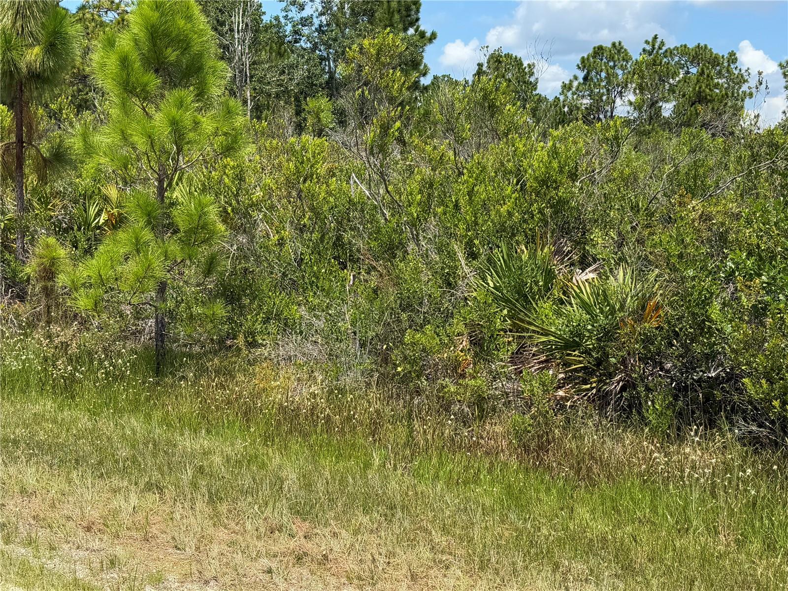 Image 6 of 11 For Sarasota Drive 11