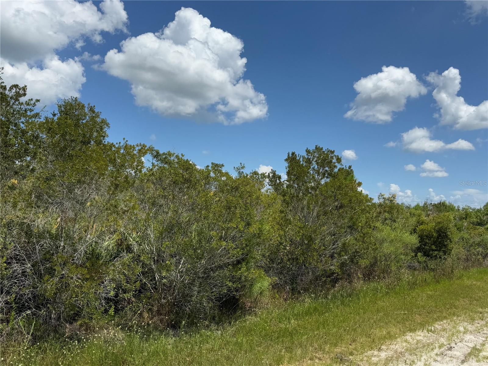 Image 7 of 11 For Sarasota Drive 11