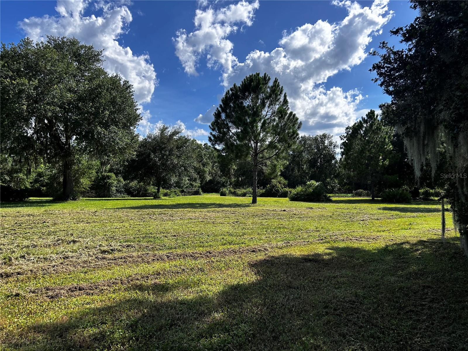 Image 19 of 27 For 15401 Co Rd 450