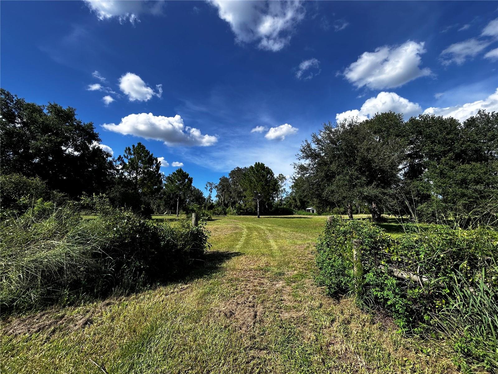 Image 2 of 27 For 15401 Co Rd 450