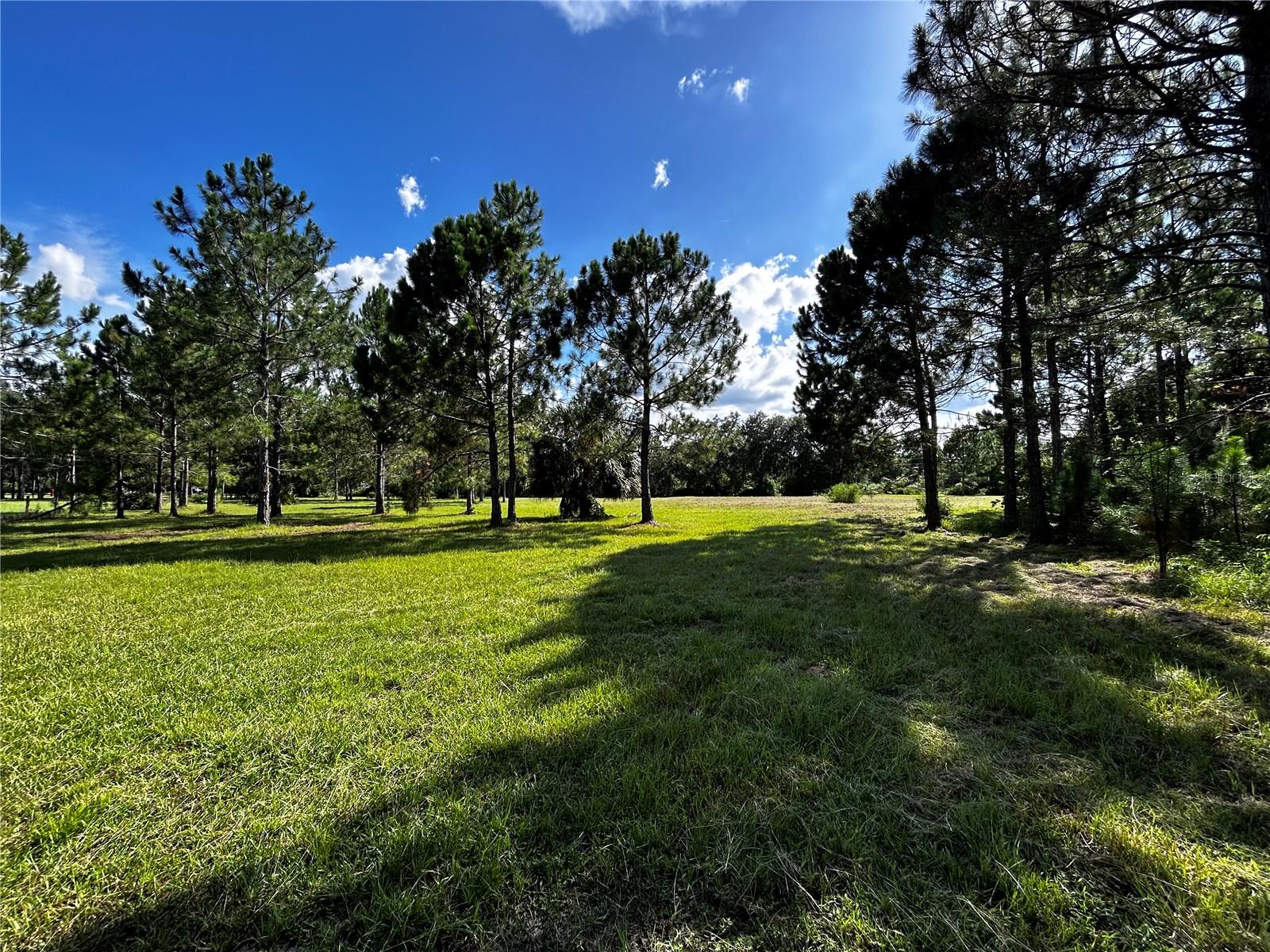 Image 20 of 27 For 15401 Co Rd 450