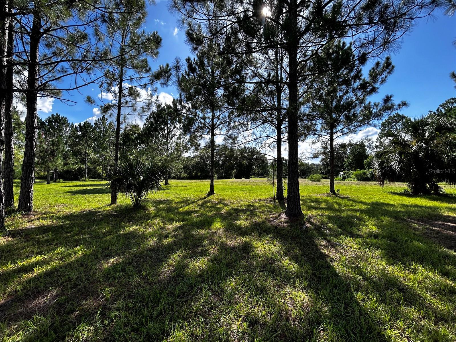 Image 21 of 27 For 15401 Co Rd 450