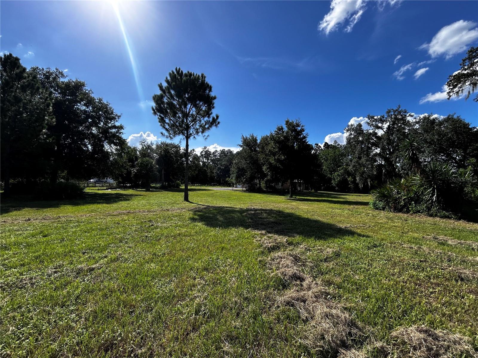 Image 3 of 27 For 15401 Co Rd 450