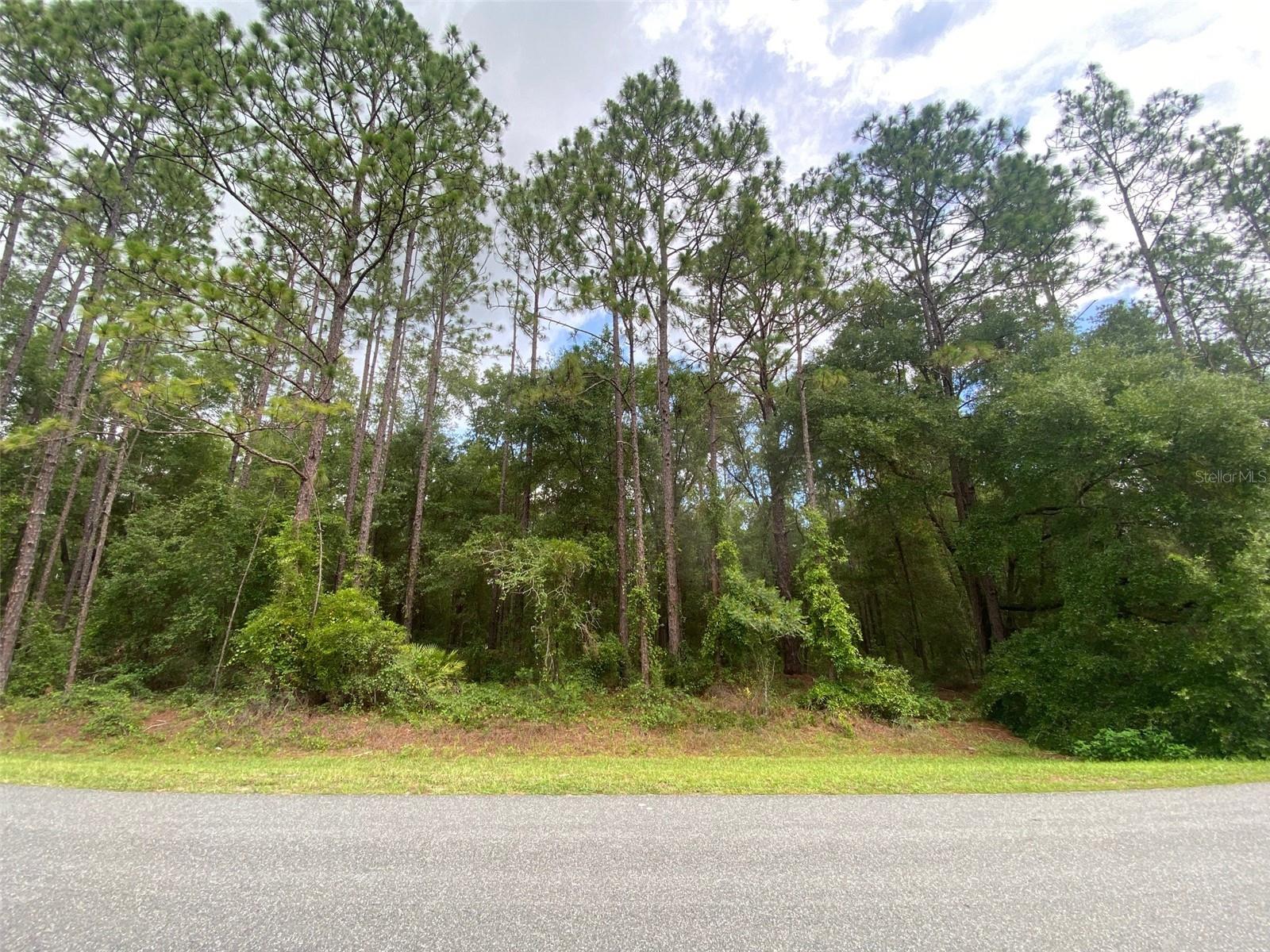 Details for 61st Place Road, OCALA, FL 34481
