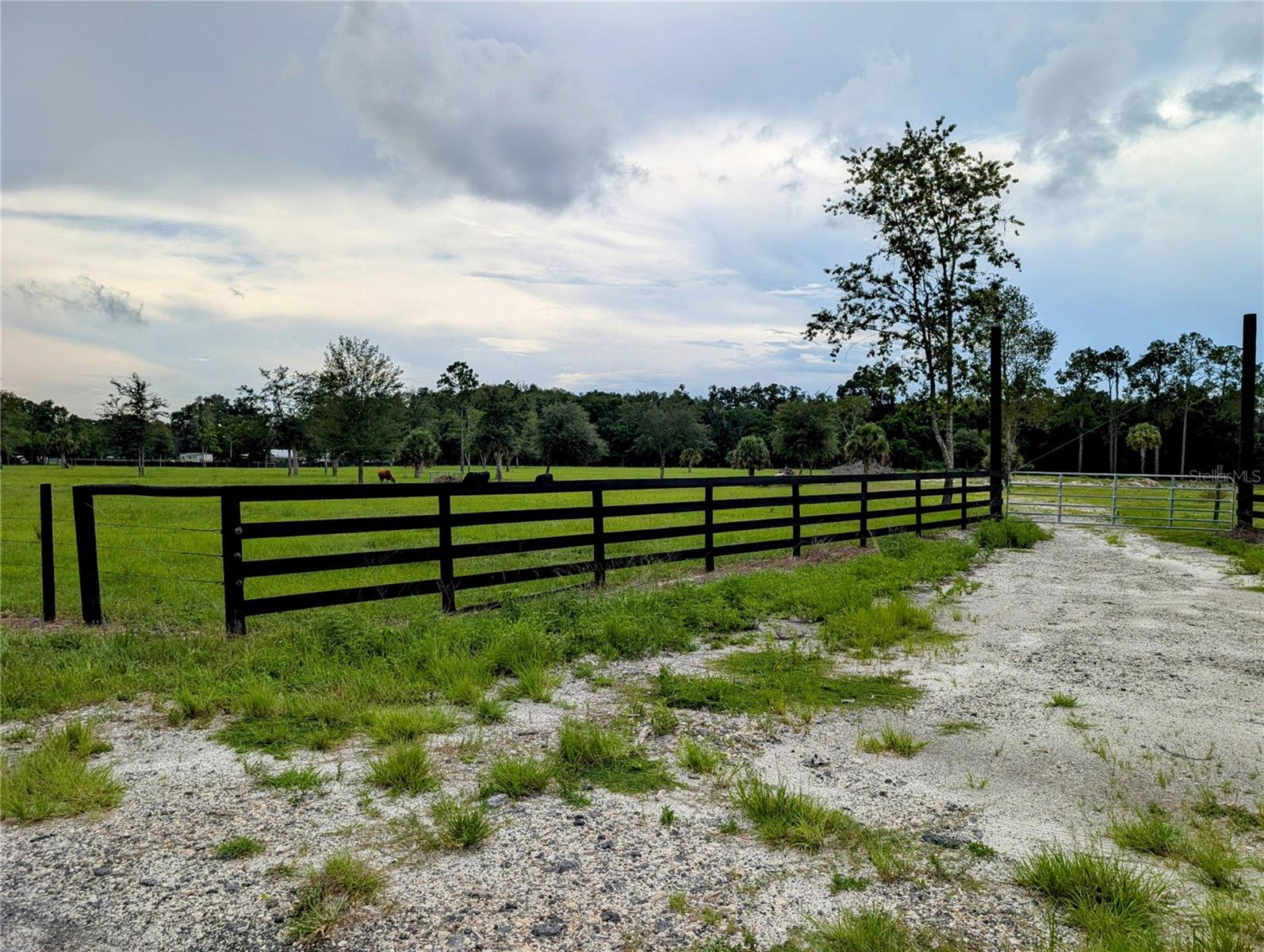 Image 2 of 6 For Peterson Road