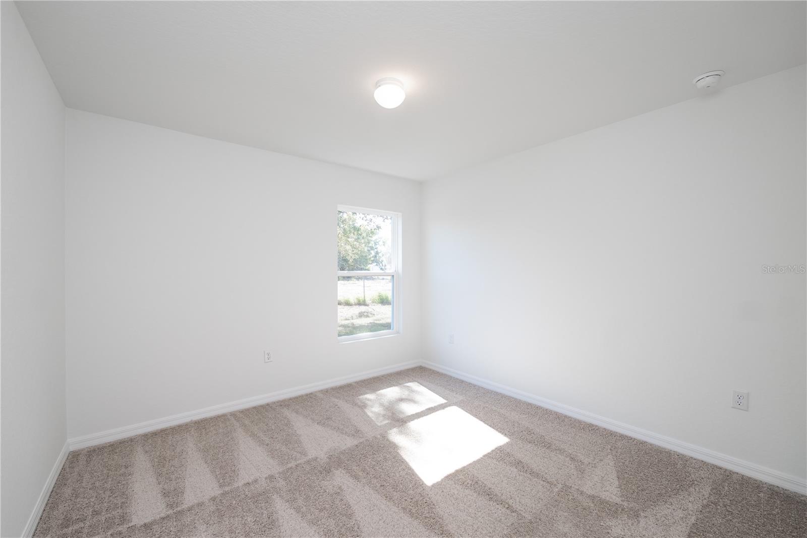 Image 22 of 29 For 446 Brady Street