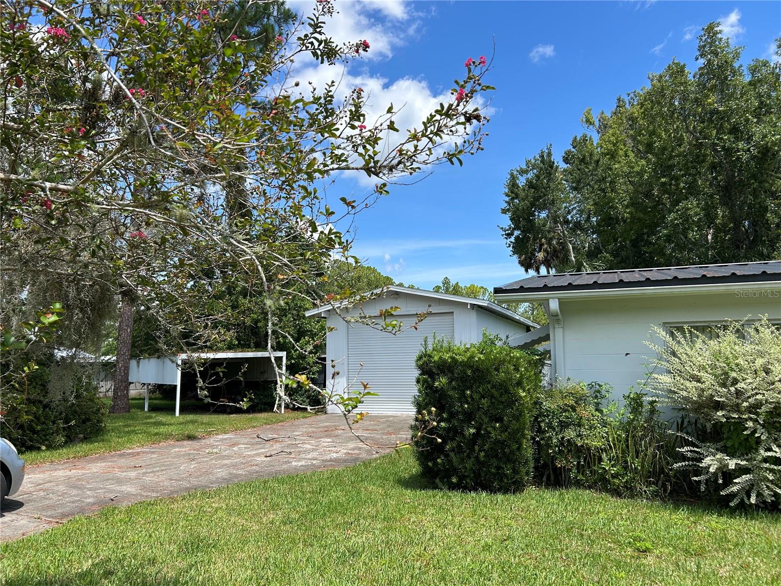 Image 3 of 12 For 24121 Armadillo Road