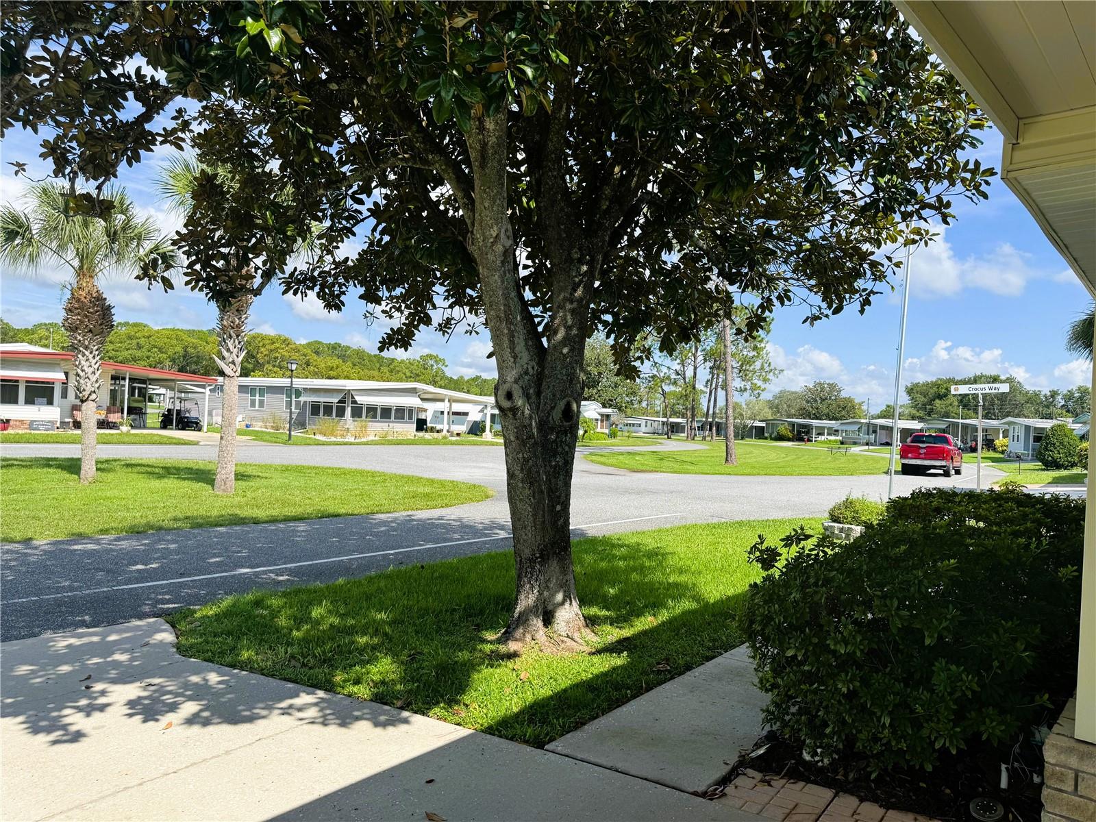 Image 5 of 44 For 518 Hawthorne Boulevard