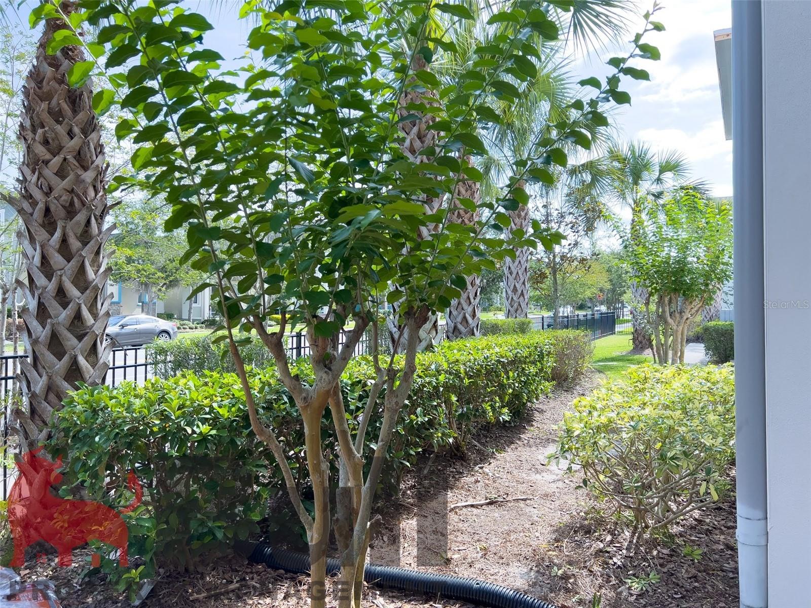 Image 44 of 49 For 14014 Dunant Lane