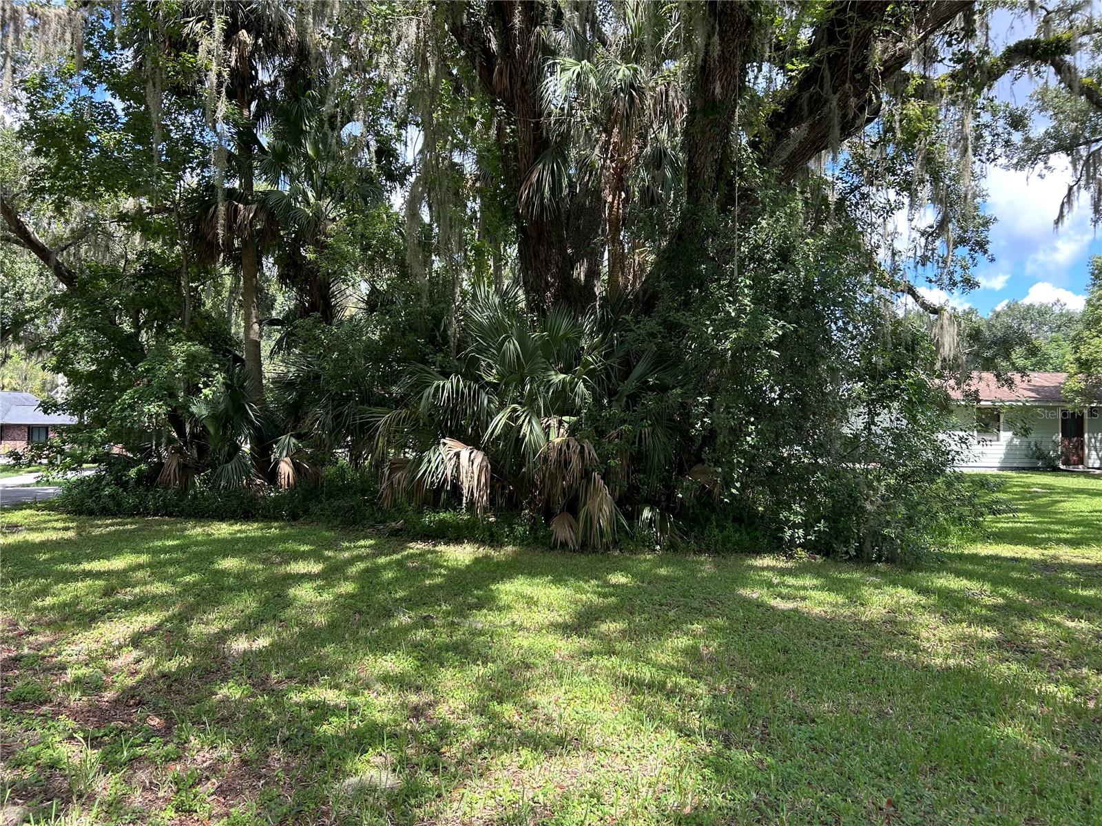 Details for 2711 Blue Heron Village, DELAND, FL 32720