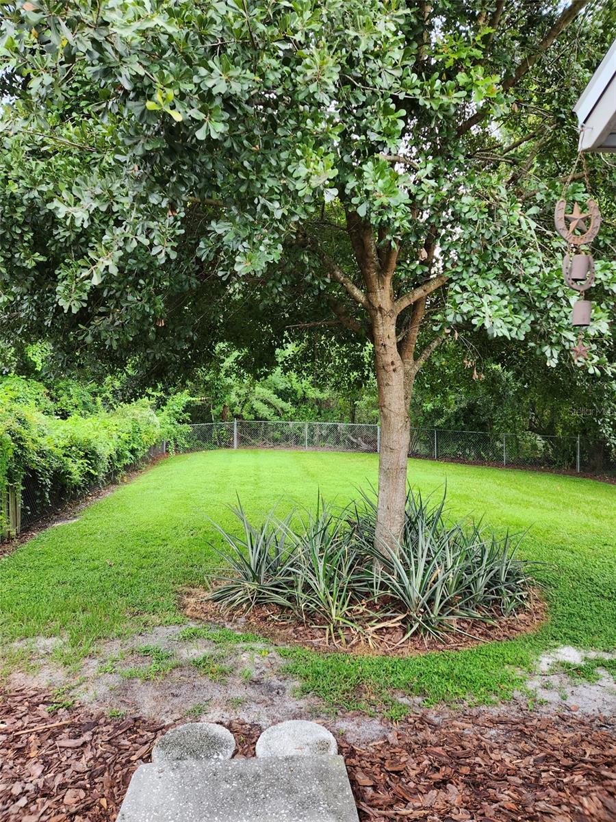 Image 10 of 13 For 5702 Odom Road