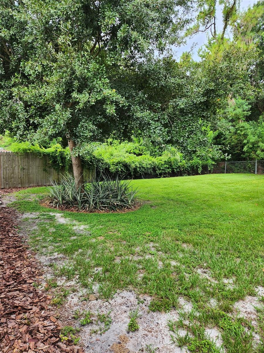 Image 12 of 13 For 5702 Odom Road